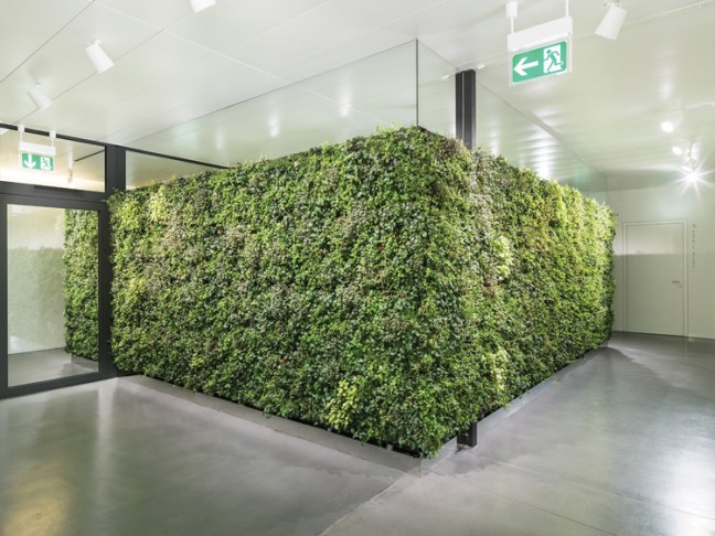Hirslanden Heart Clinic Zurich corner hallway