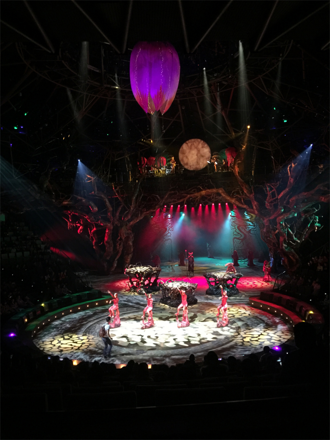 show macau supply Show Sonic Theatre Dragoneâs Immersion Achieves Dai show macau supply Show Sonic Theatre Dragoneâs Immersion Achieves Dai