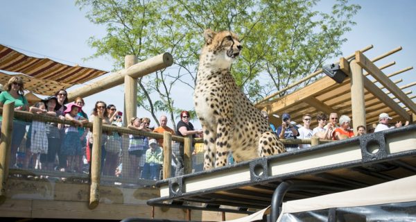 columbus zoo accreditation columbus zoo accreditation