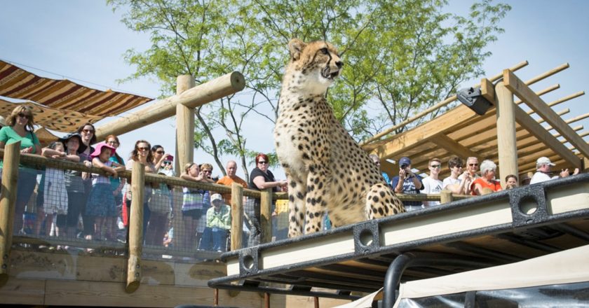 Columbus Zoo