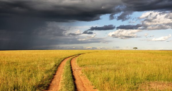 Path